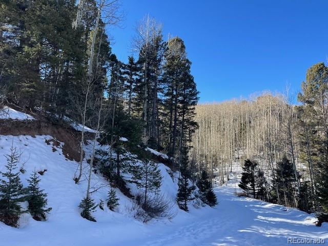 Lot 5252 Scott Road Fort Garland CO 81133
