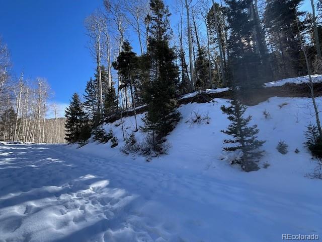 Lot 5252 Scott Road Fort Garland CO 81133