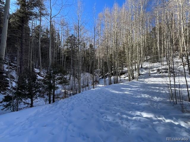 Lot 5252 Scott Road Fort Garland CO 81133