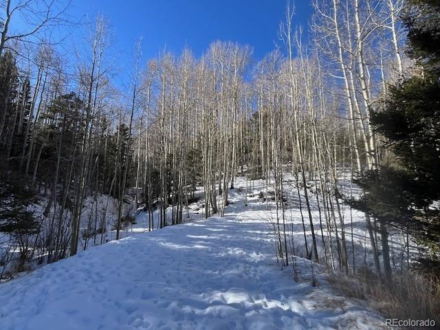 Lot 5252 Scott Road Fort Garland CO 81133
