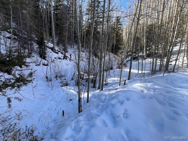 Lot 5252 Scott Road Fort Garland CO 81133
