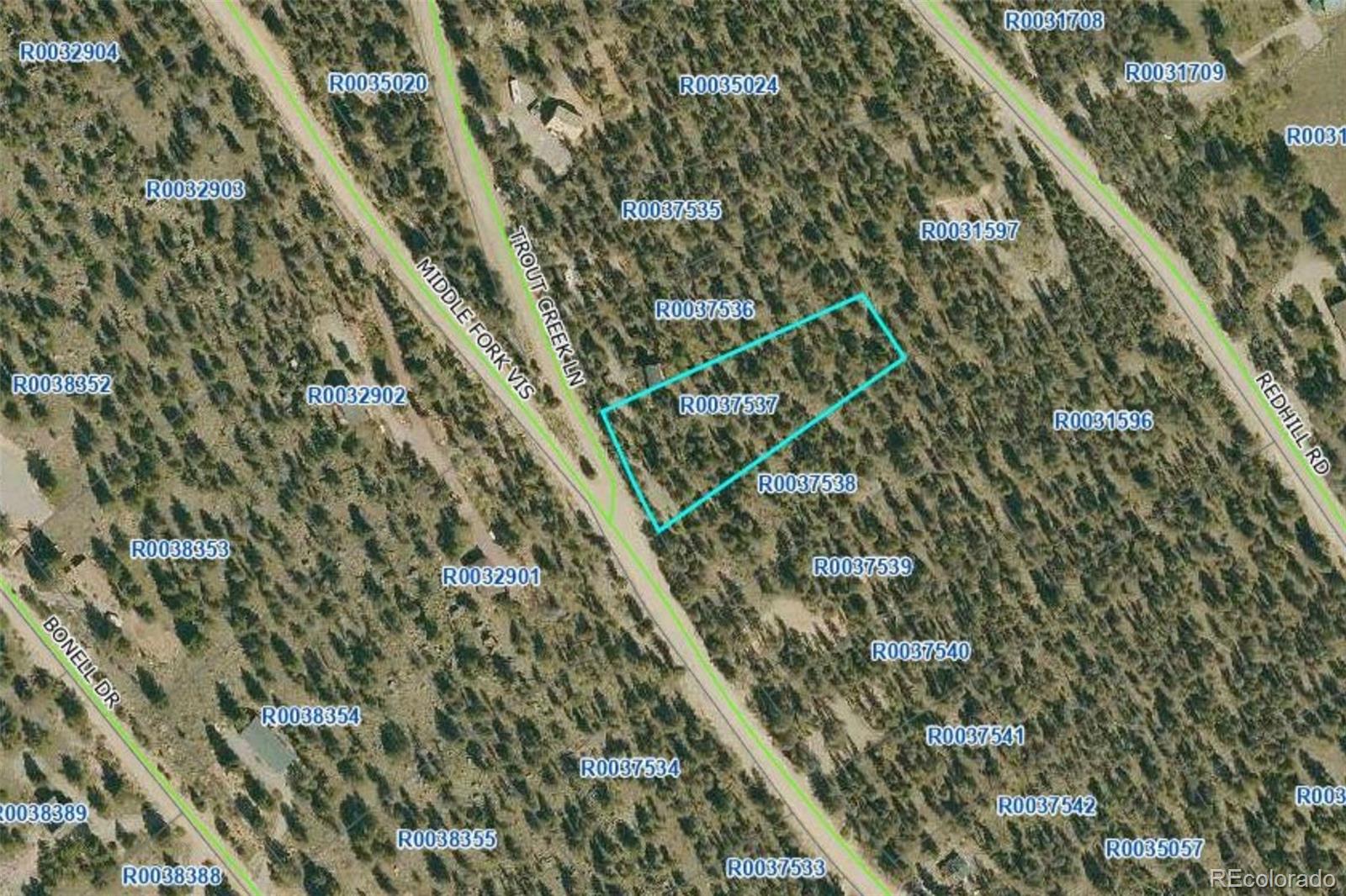 806 Middle Fork Vista Fairplay CO 80440