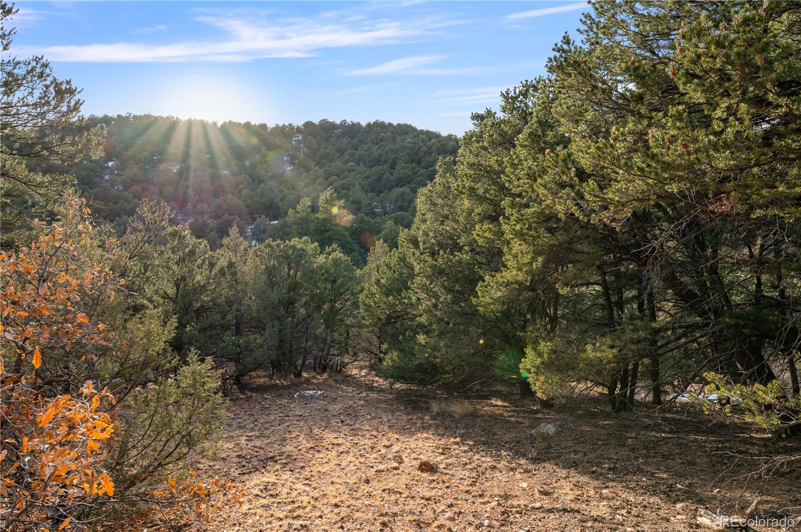 000 Sunnybrook Trail Canon City CO 81212