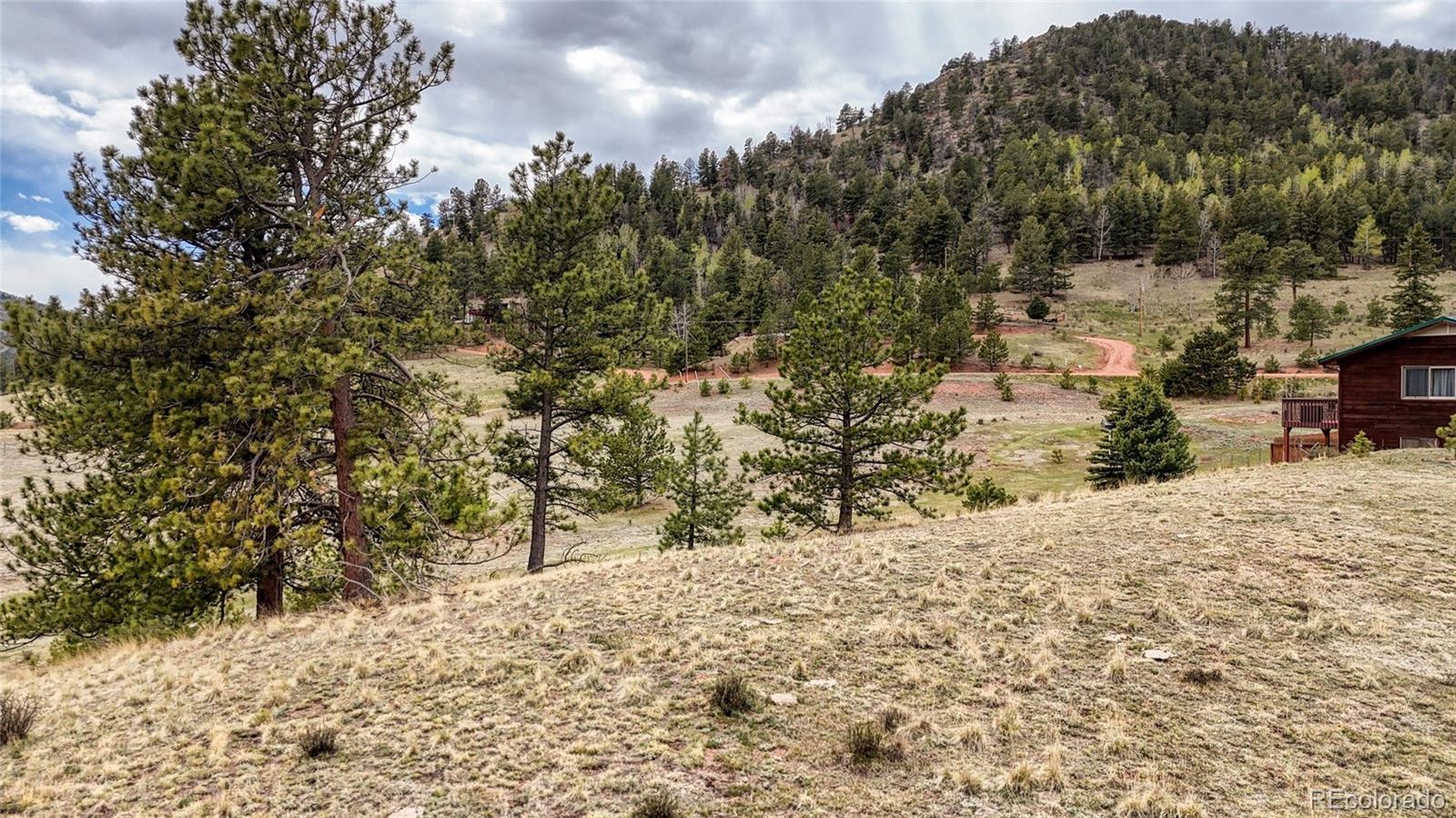 281 Nickel Plate Road Cripple Creek CO 80813