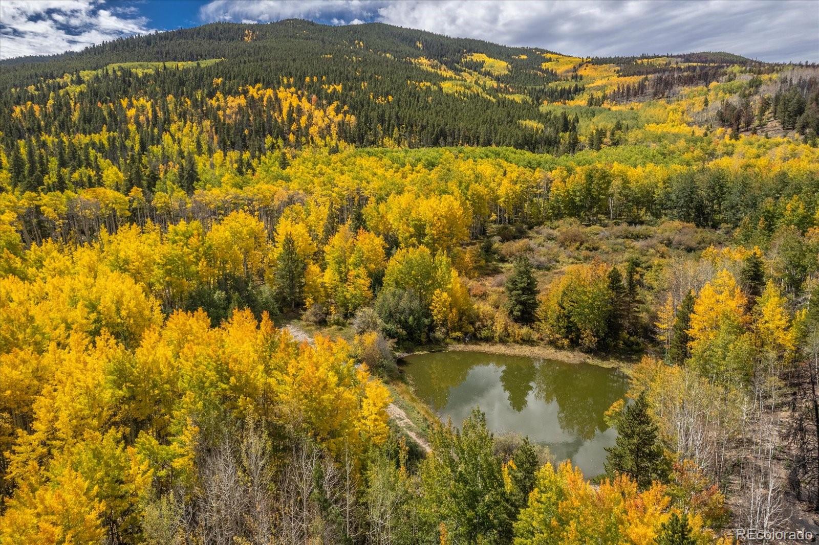 0000 Tbd County Road 28a Twin Lakes CO 81251