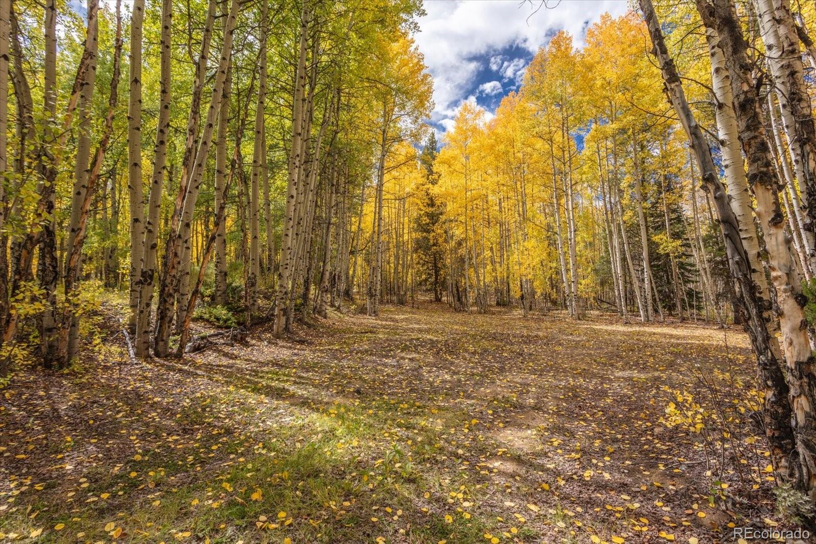 0000 Tbd County Road 28a Twin Lakes CO 81251