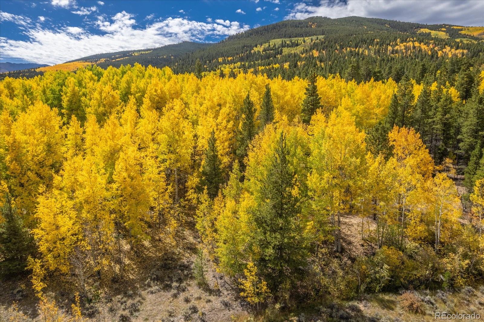 0000 Tbd County Road 28a Twin Lakes CO 81251