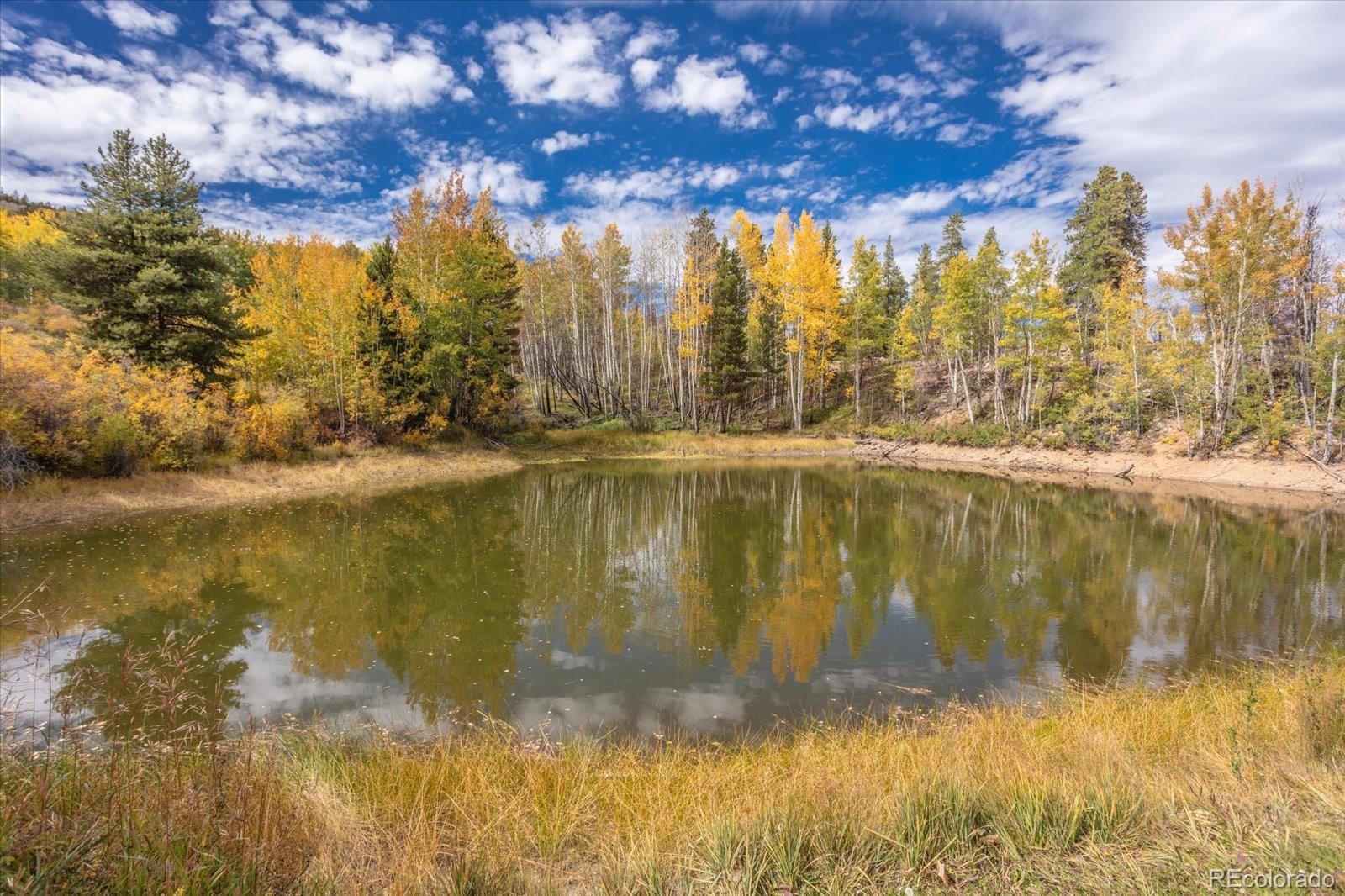 0000 Tbd County Road 28a Twin Lakes CO 81251