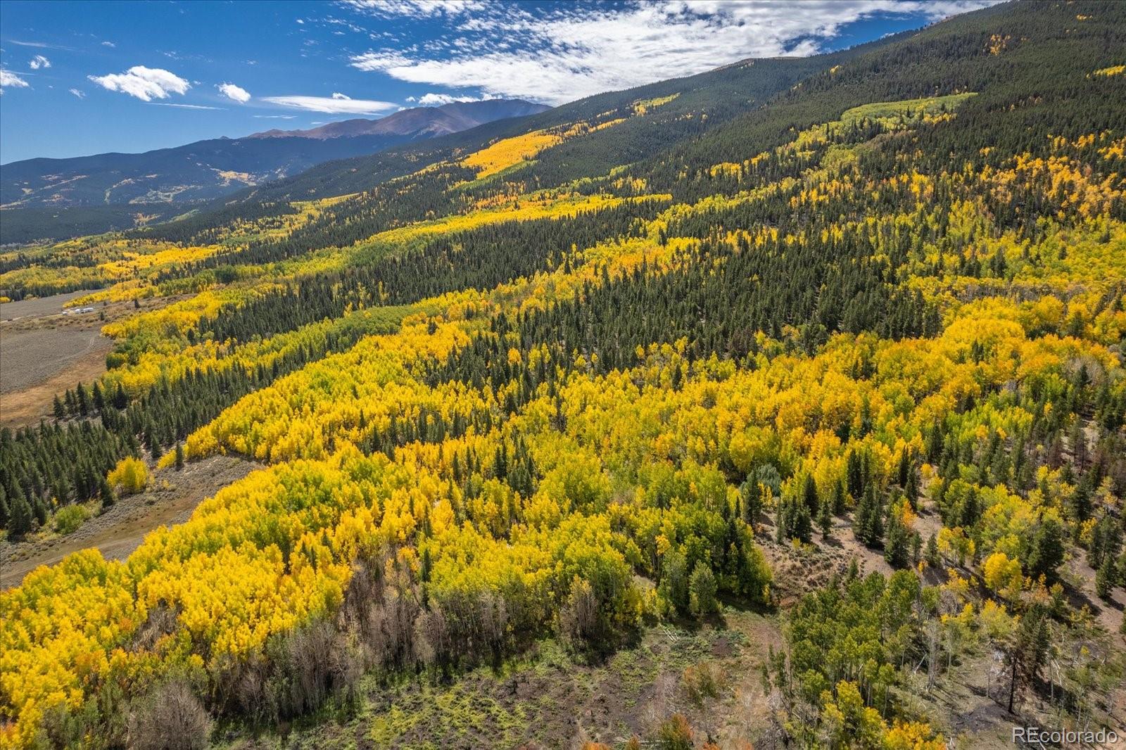 0000 Tbd County Road 28a Twin Lakes CO 81251