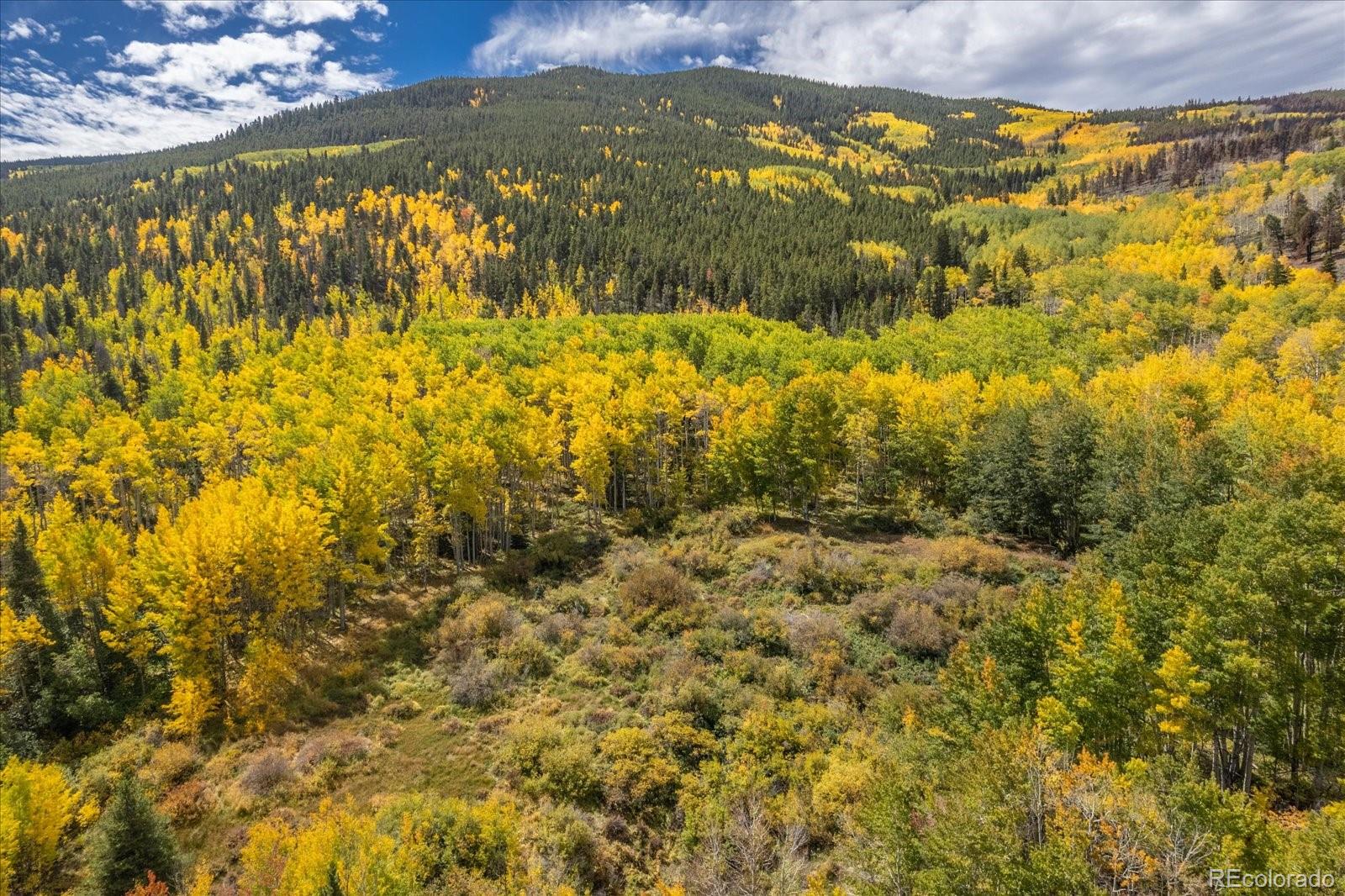 0000 Tbd County Road 28a Twin Lakes CO 81251