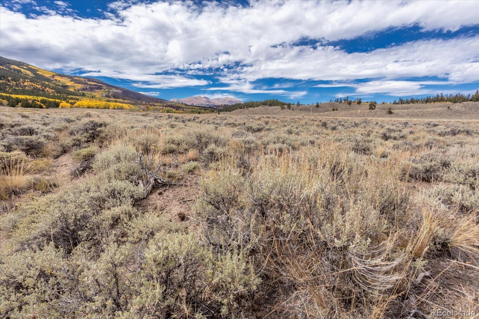 0000 Tbd County Road 28a Twin Lakes CO 81251