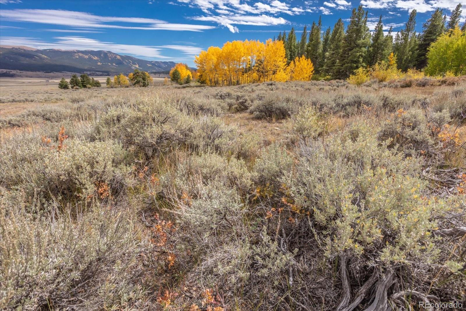 0000 Tbd County Road 28a Twin Lakes CO 81251
