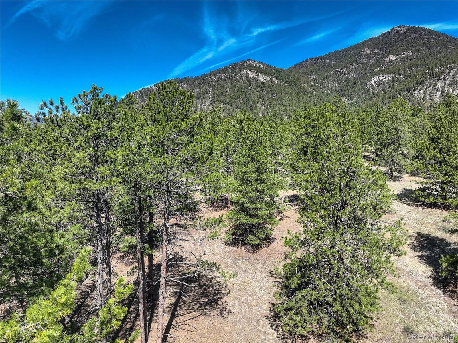 000 Hayden Ridge Road Evergreen CO 80439