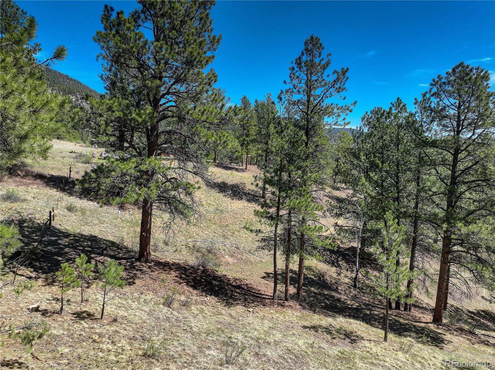 000 Hayden Ridge Road Evergreen CO 80439
