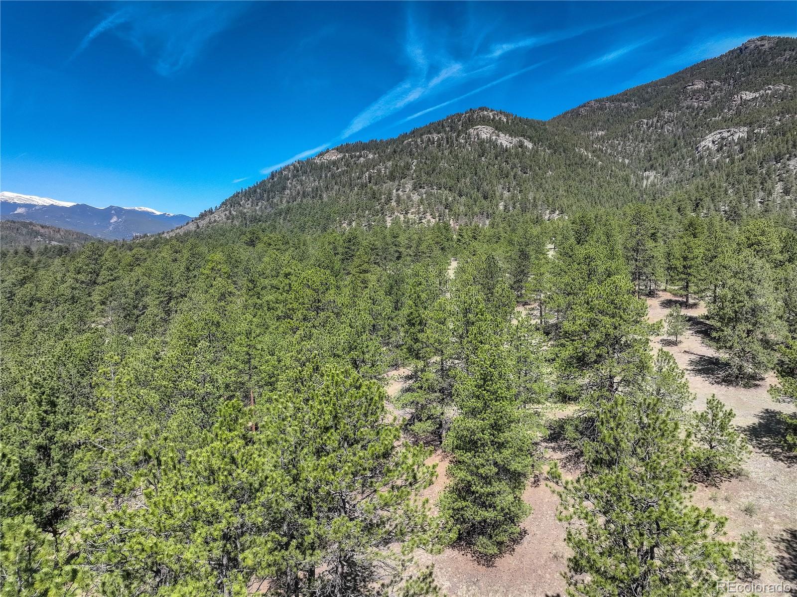 000 Hayden Ridge Road Evergreen CO 80439