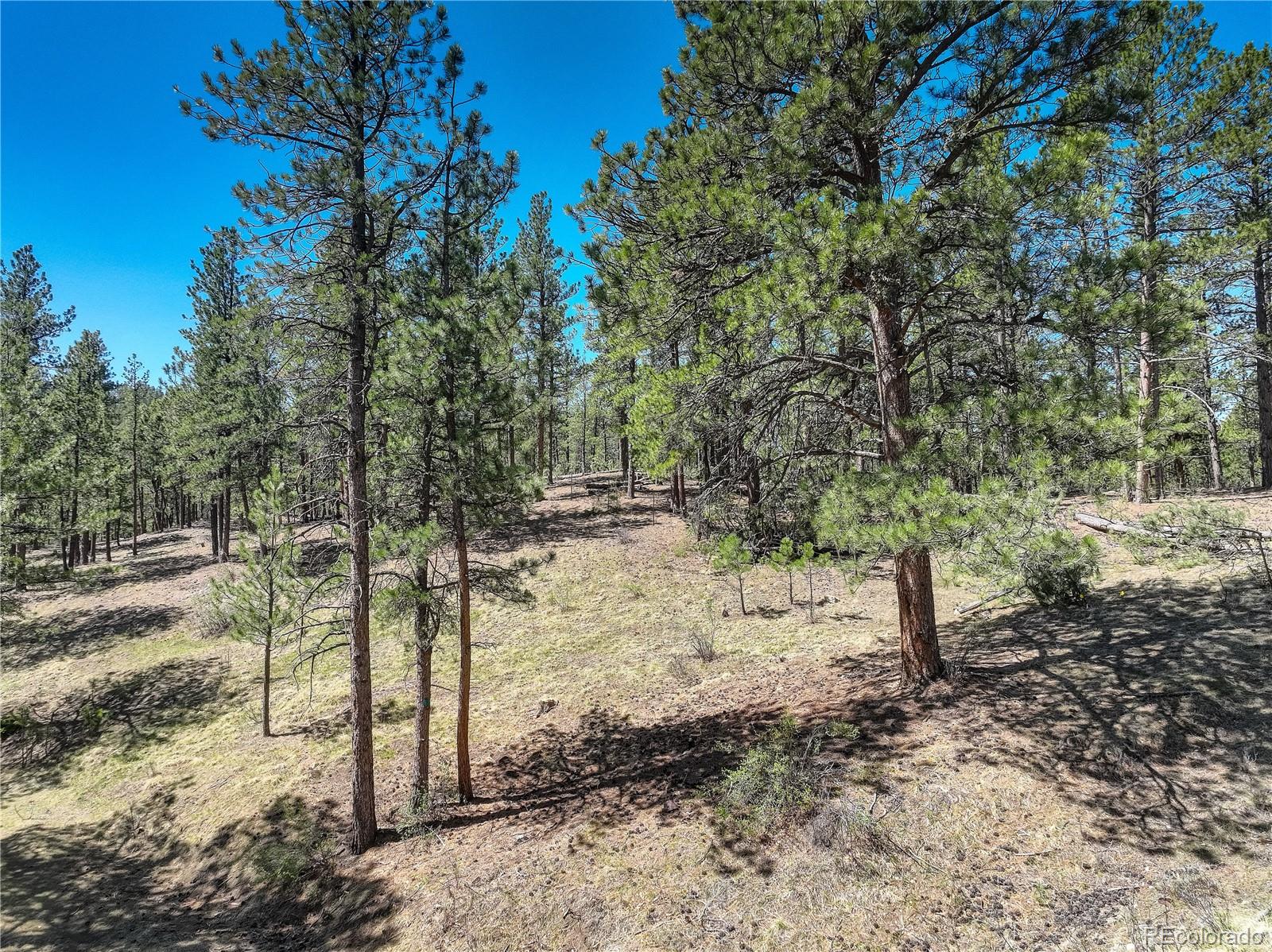 000 Hayden Ridge Road Evergreen CO 80439