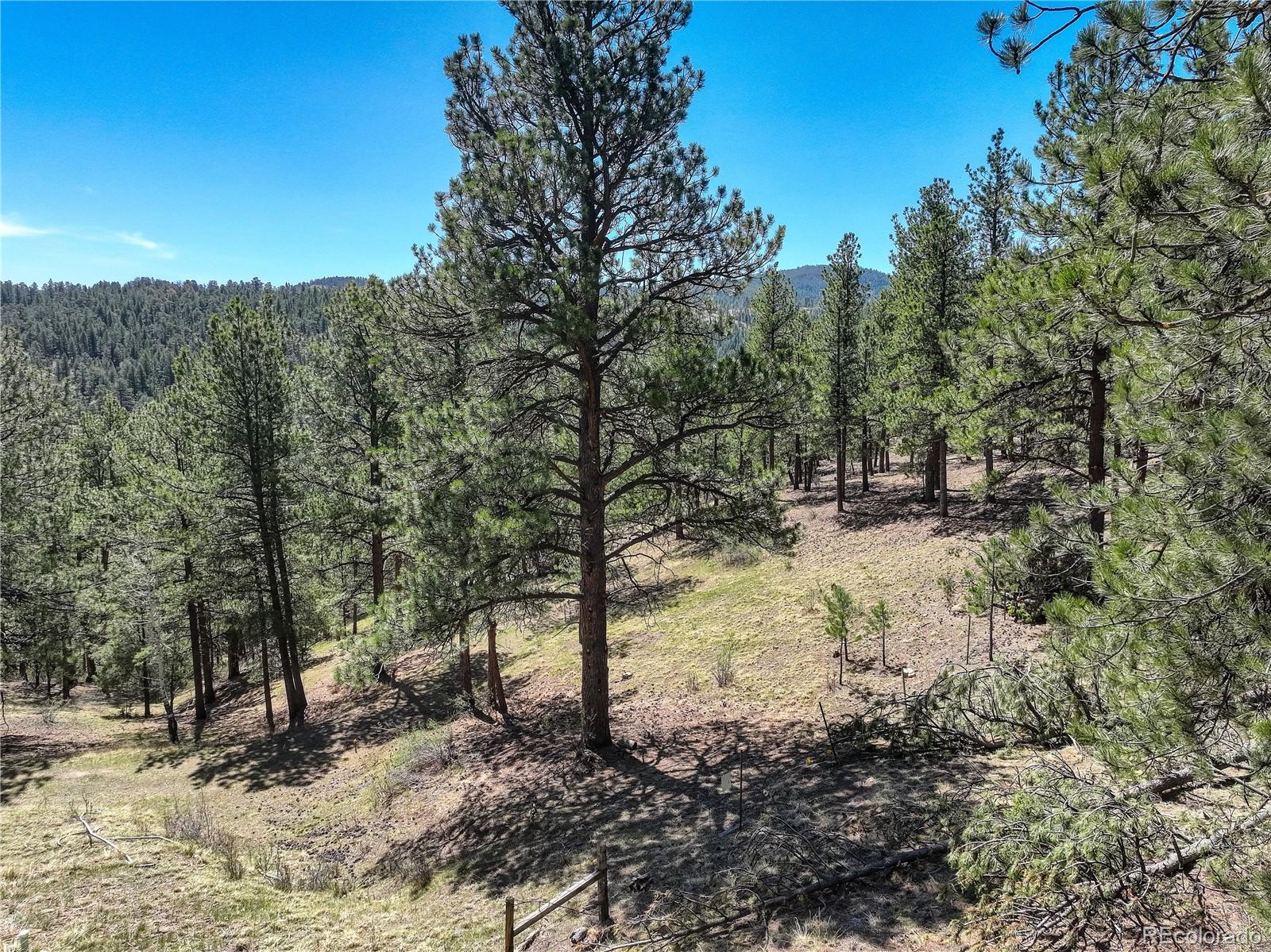 000 Hayden Ridge Road Evergreen CO 80439