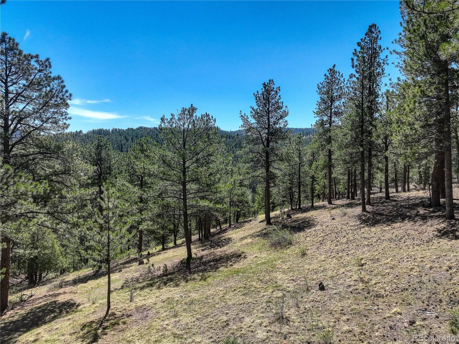 000 Hayden Ridge Road Evergreen CO 80439