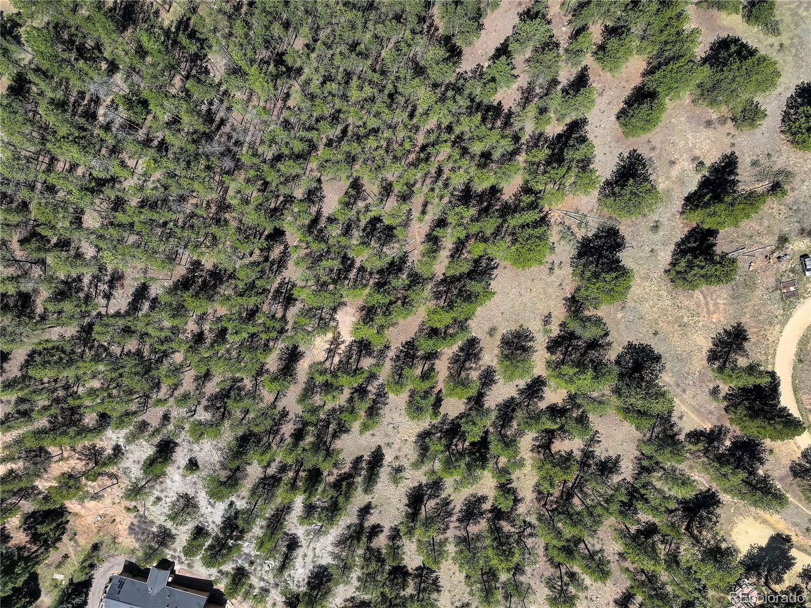 000 Hayden Ridge Road Evergreen CO 80439