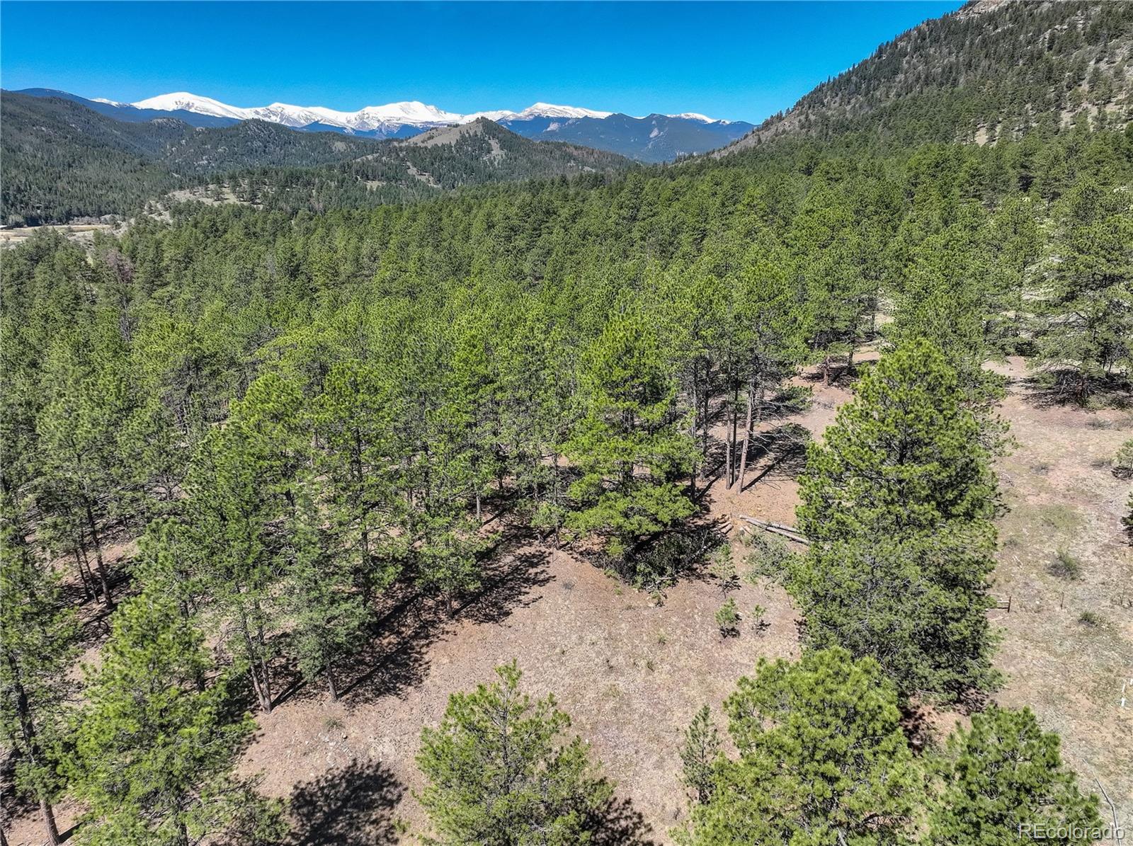 000 Hayden Ridge Road Evergreen CO 80439