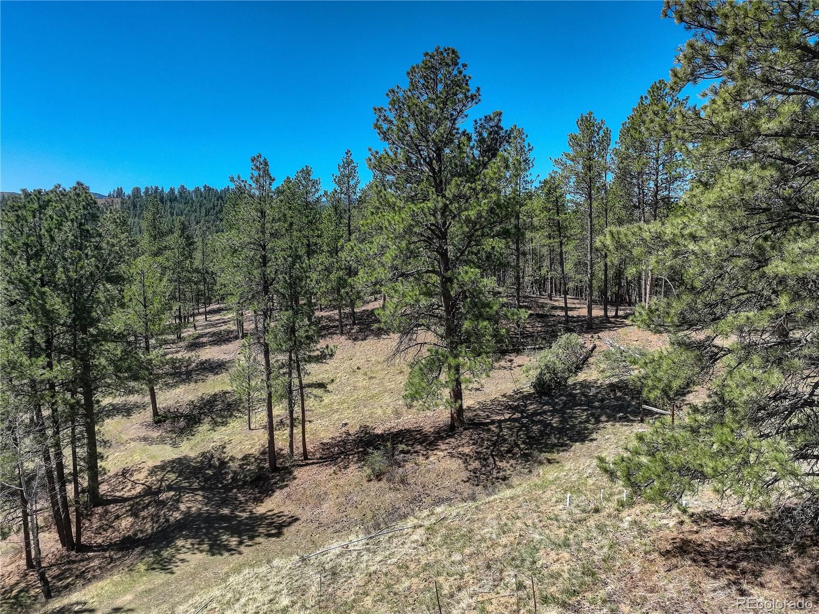 000 Hayden Ridge Road Evergreen CO 80439