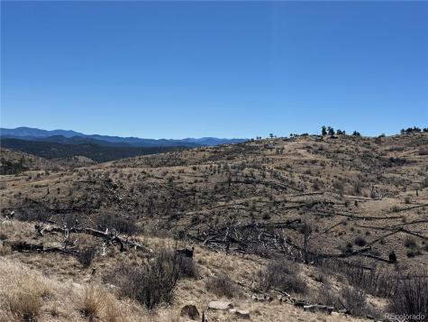 184 Carpenter Trail Cotopaxi CO 81223