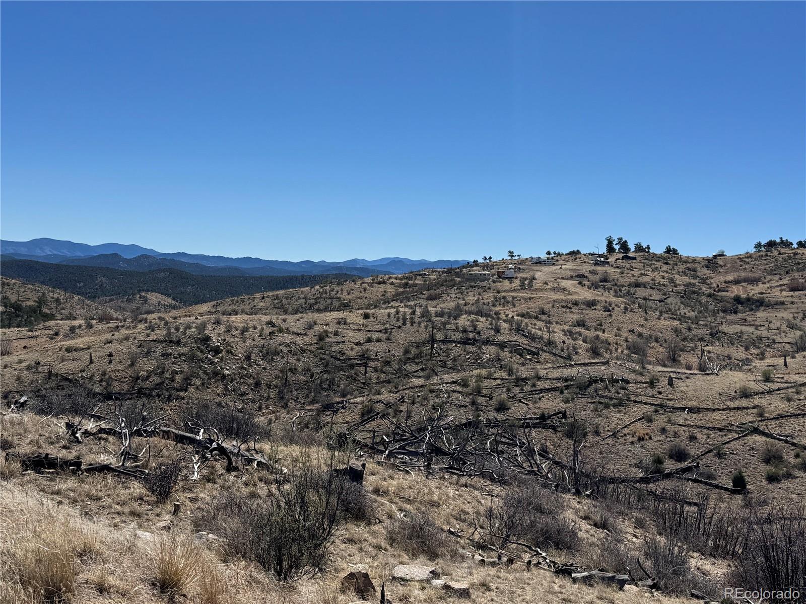 184 Carpenter Trail Cotopaxi CO 81223