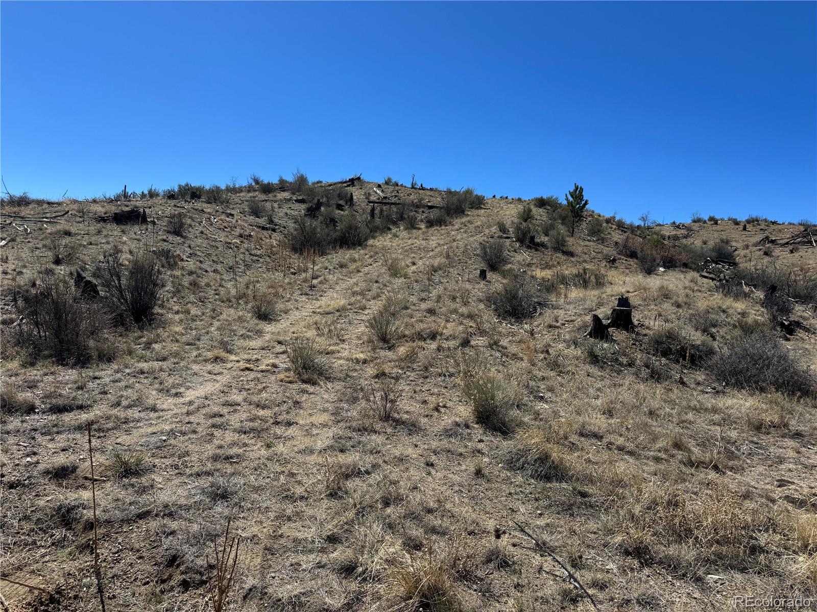 184 Carpenter Trail Cotopaxi CO 81223