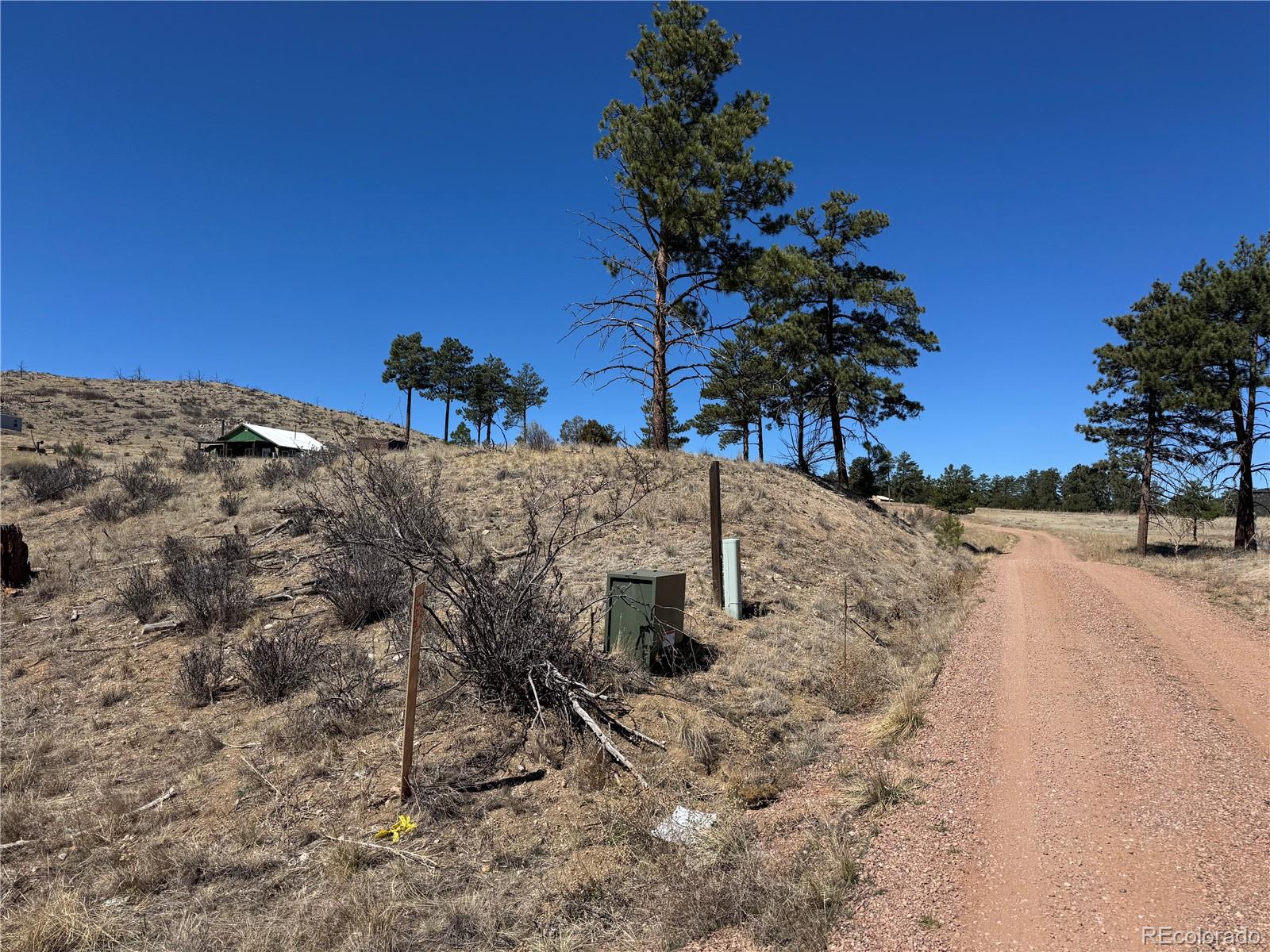 184 Carpenter Trail Cotopaxi CO 81223