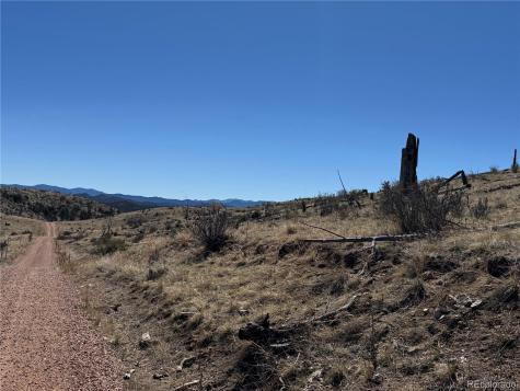 184 Carpenter Trail Cotopaxi CO 81223