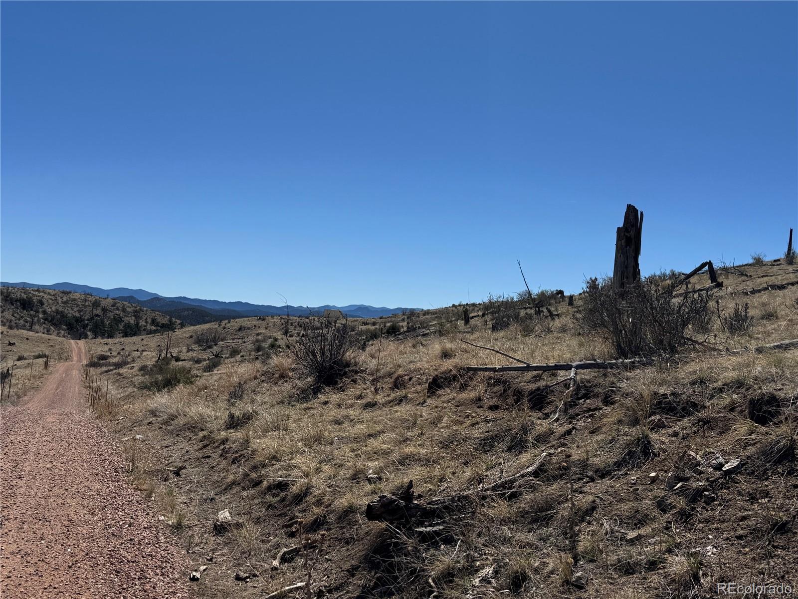 184 Carpenter Trail Cotopaxi CO 81223