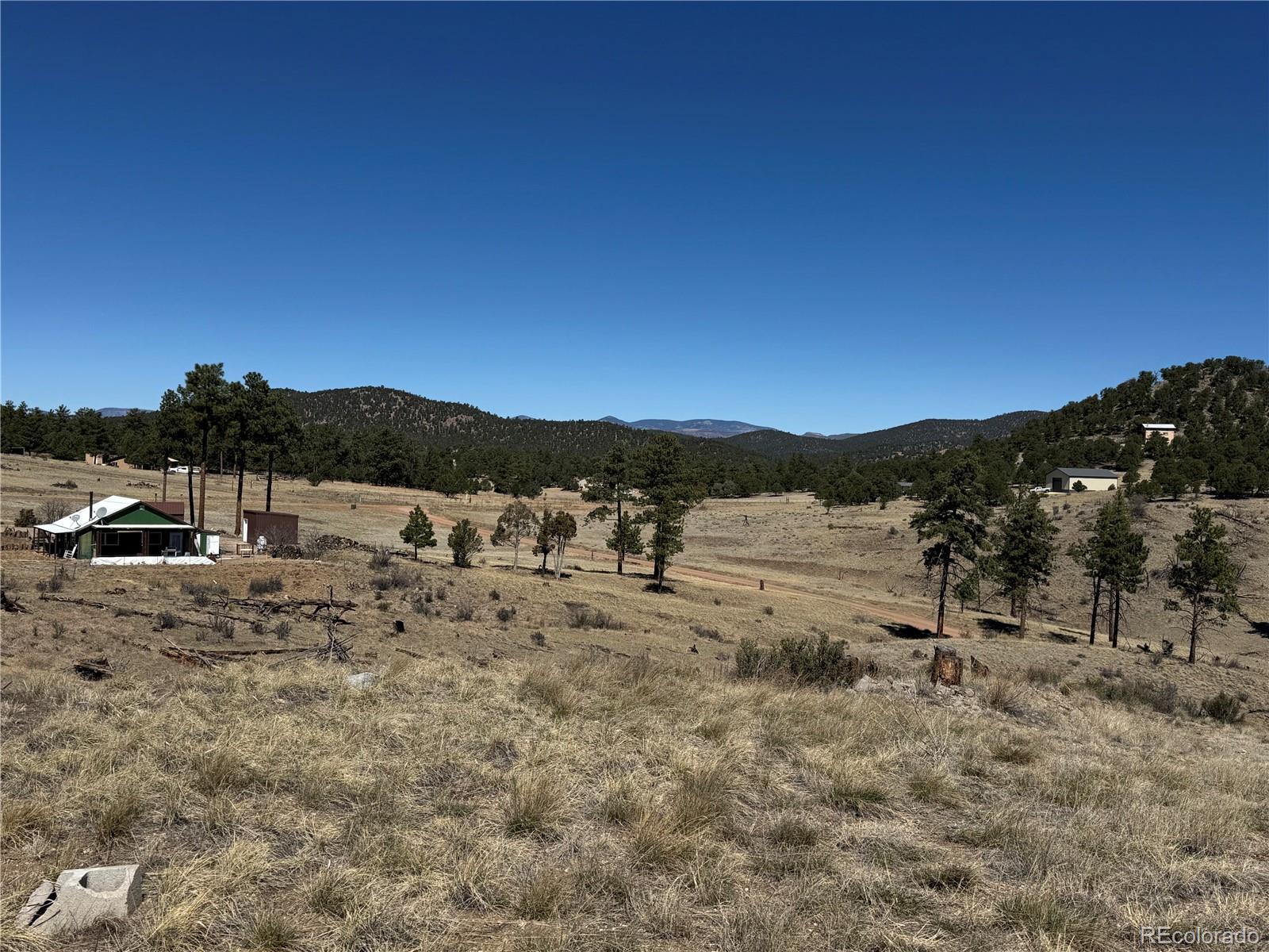 184 Carpenter Trail Cotopaxi CO 81223