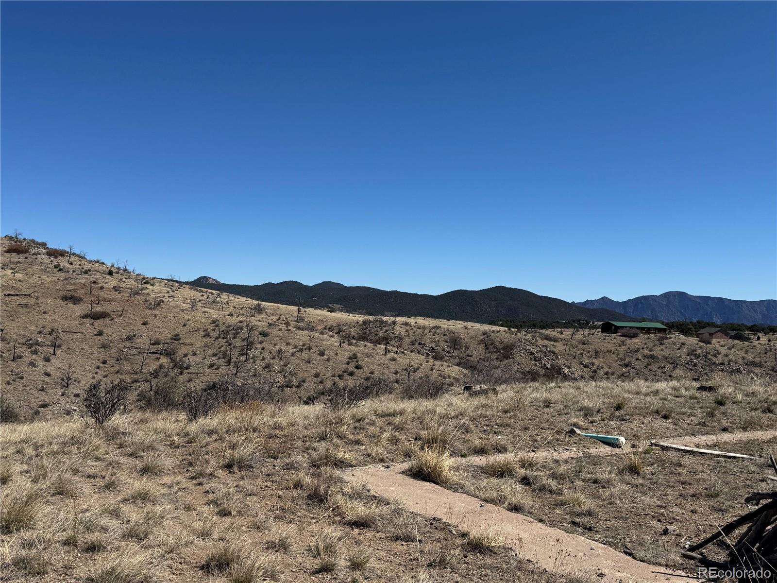 184 Carpenter Trail Cotopaxi CO 81223