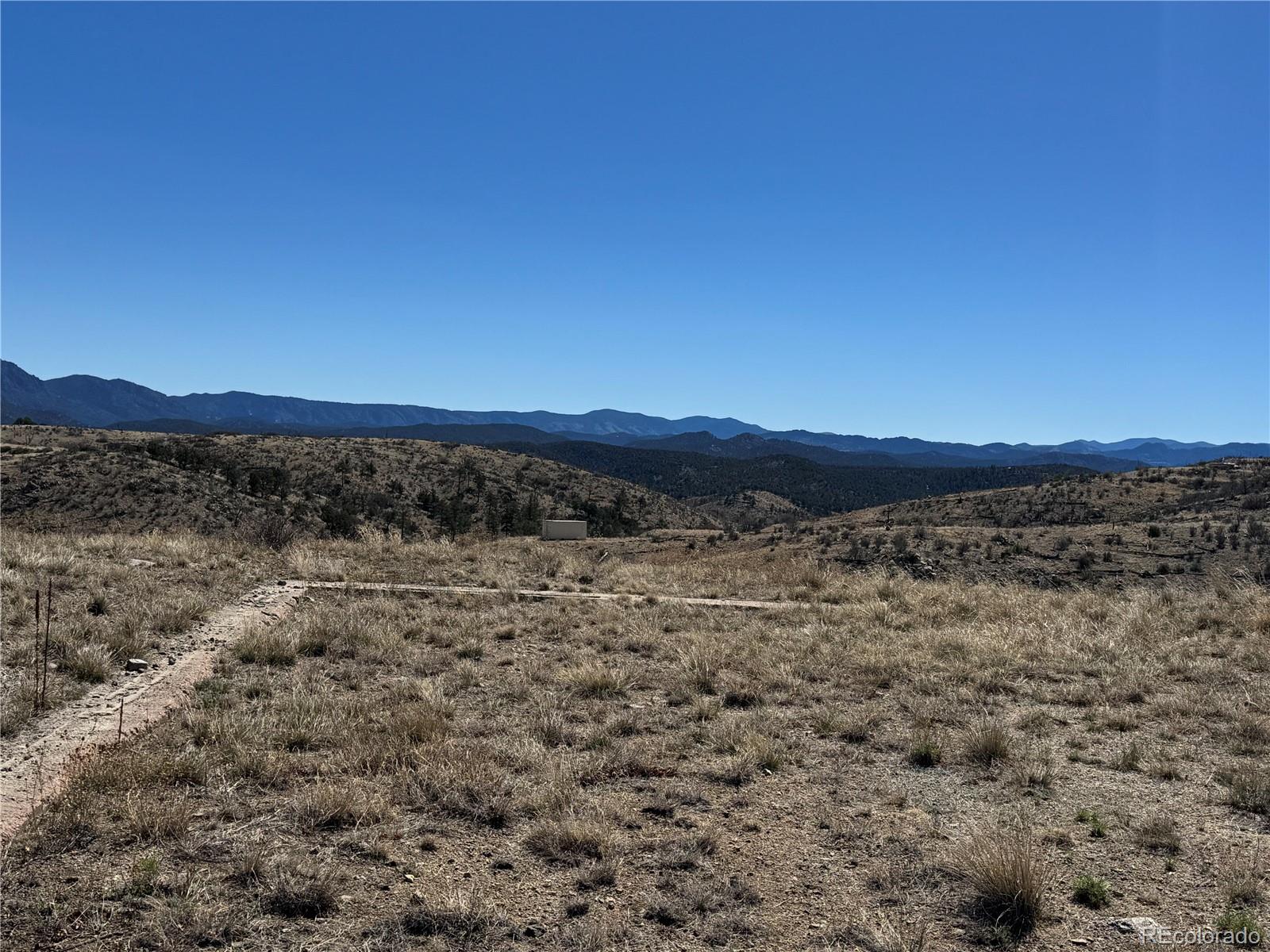 184 Carpenter Trail Cotopaxi CO 81223