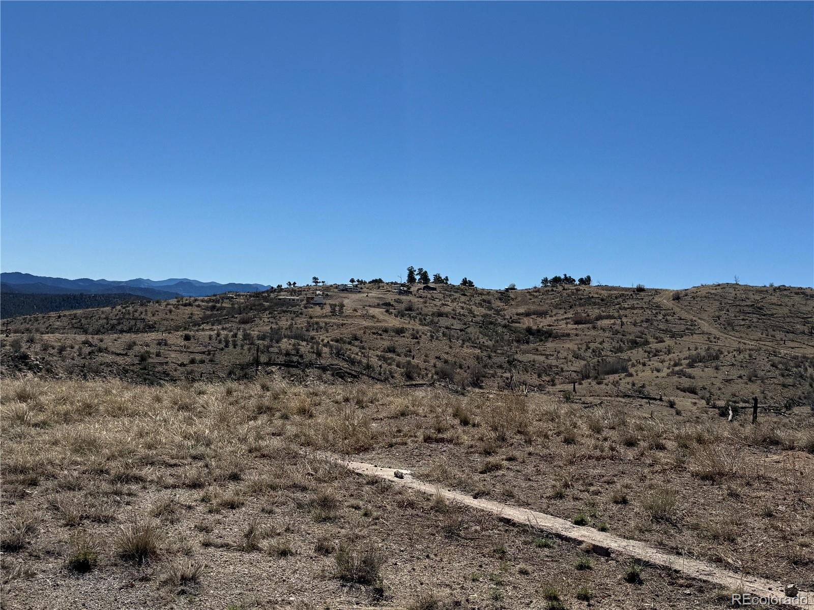 184 Carpenter Trail Cotopaxi CO 81223