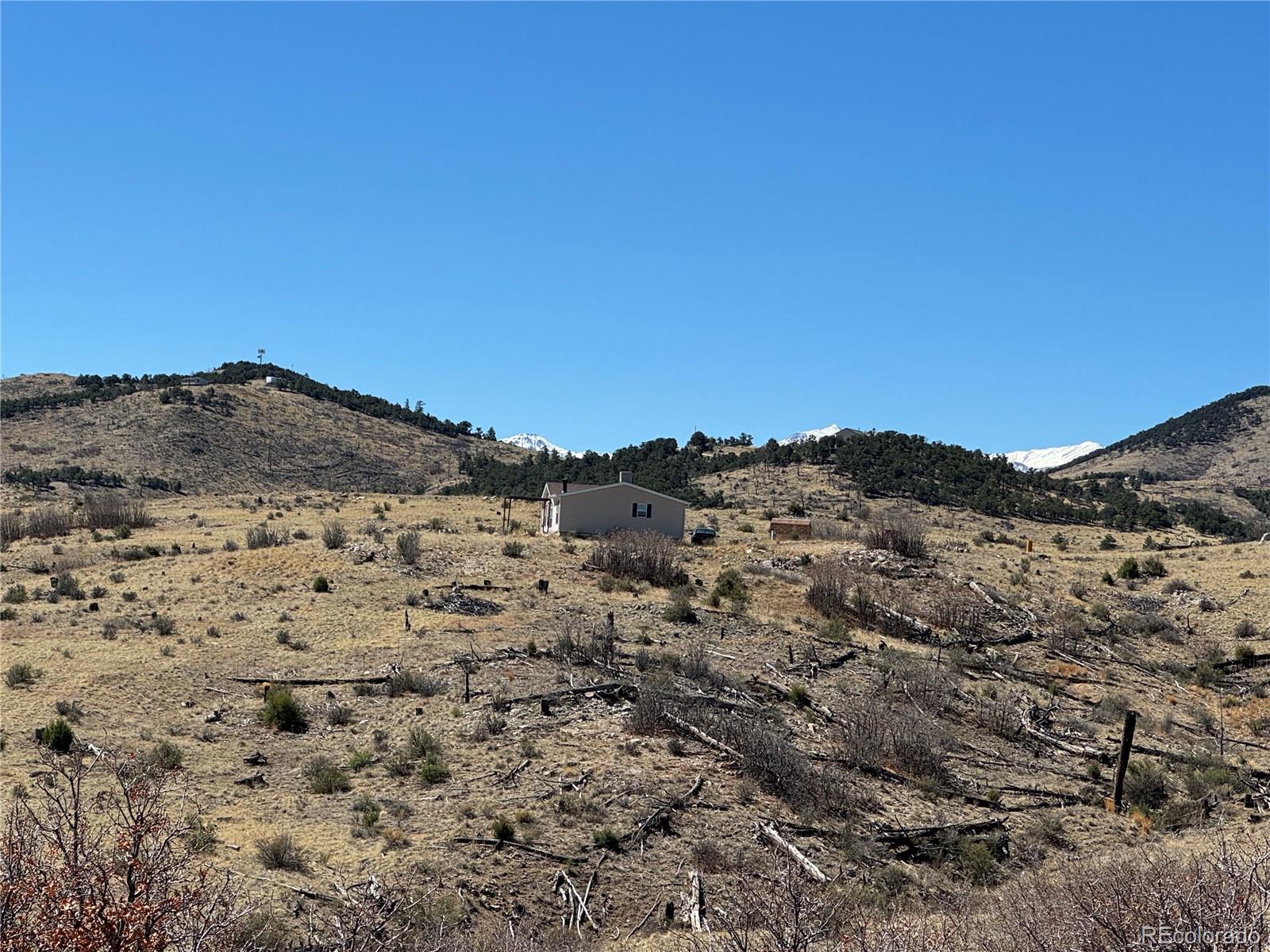 184 Carpenter Trail Cotopaxi CO 81223