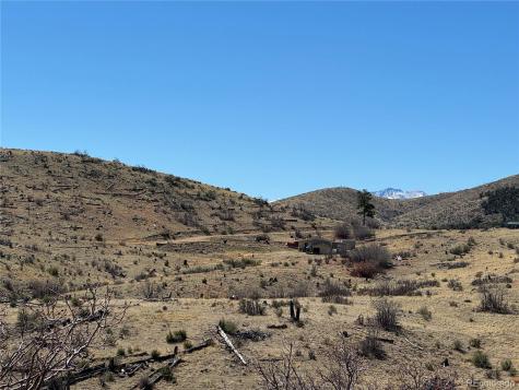 184 Carpenter Trail Cotopaxi CO 81223