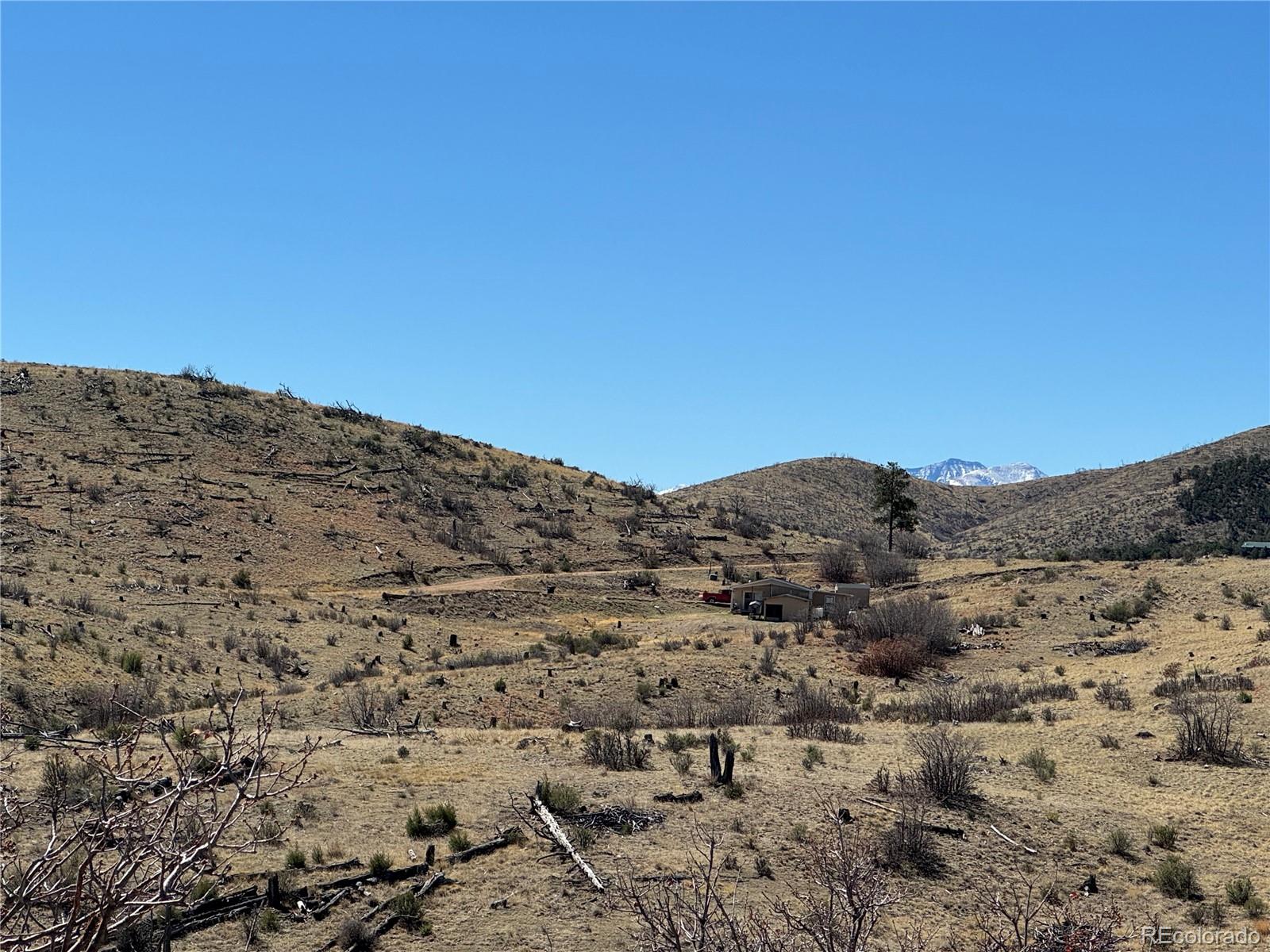 184 Carpenter Trail Cotopaxi CO 81223