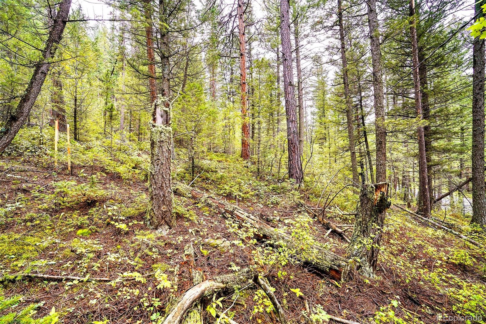 Golden CO, 10862-10872 Twin Spruce Road