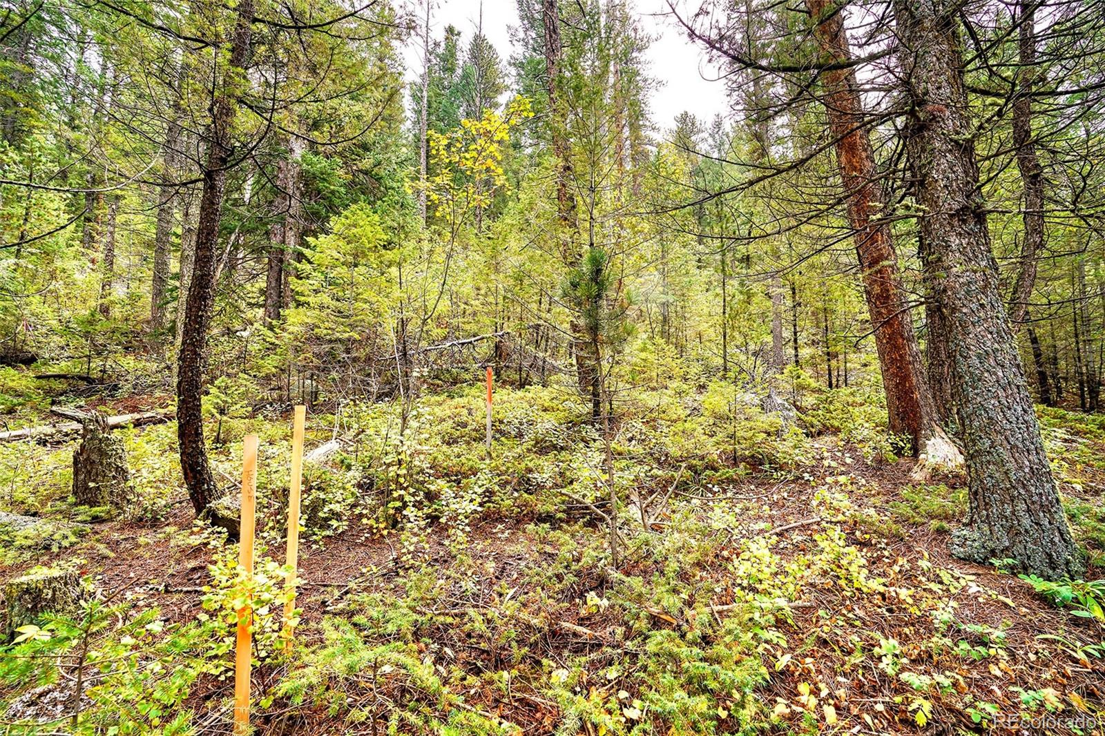 10862-10872 Twin Spruce Road Golden CO 80403