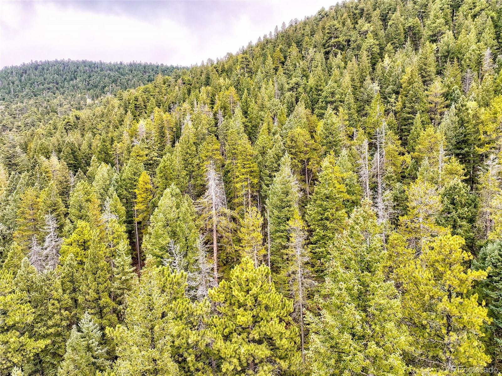 10862-10872 Twin Spruce Road Golden CO 80403