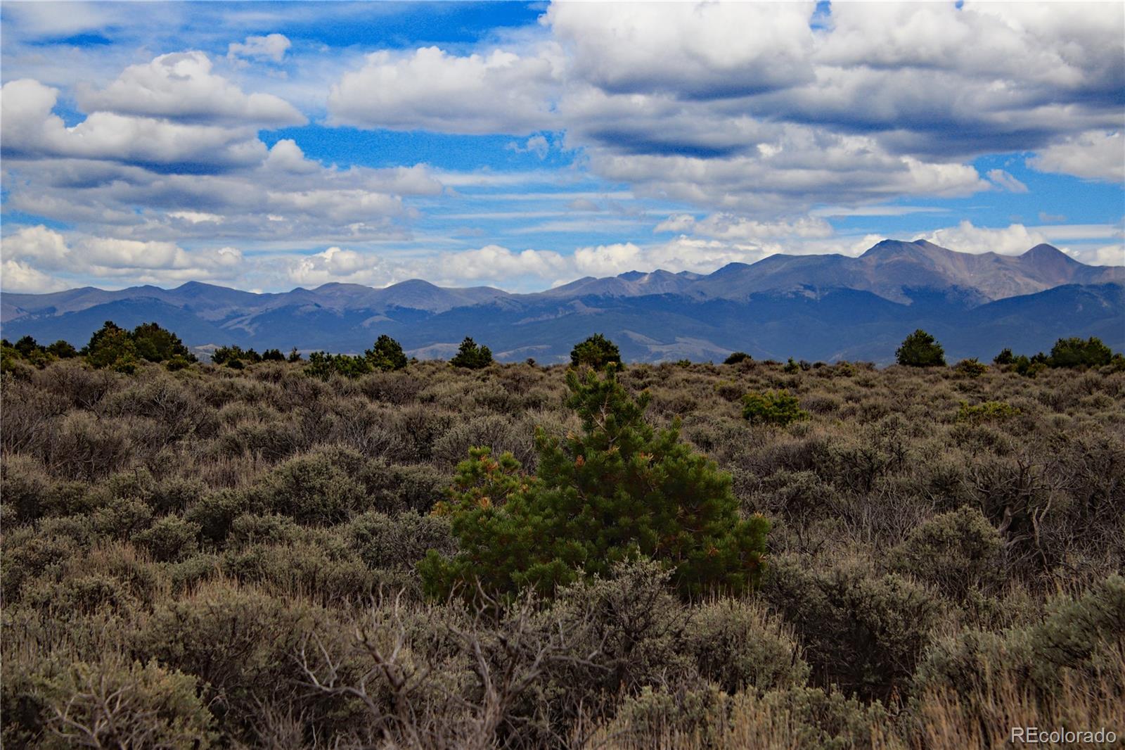 7602 Skyline Drive San Luis CO 81152