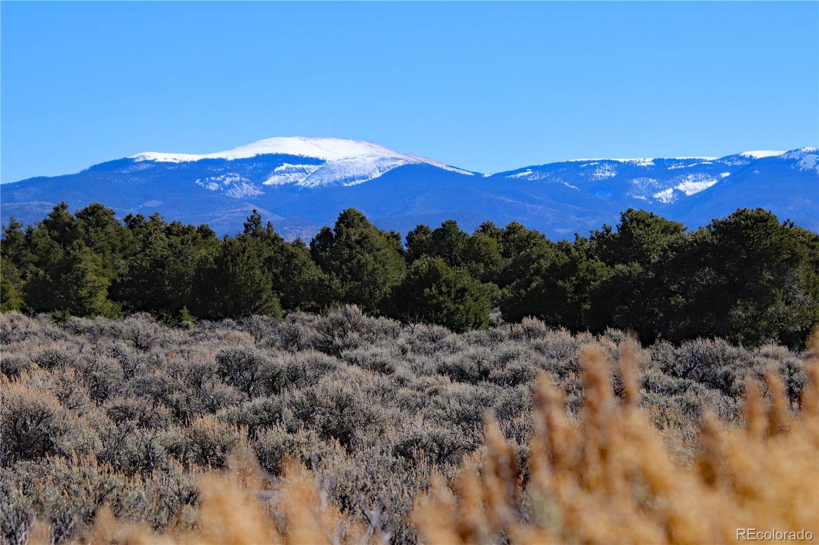 7602 Skyline Drive San Luis CO 81152