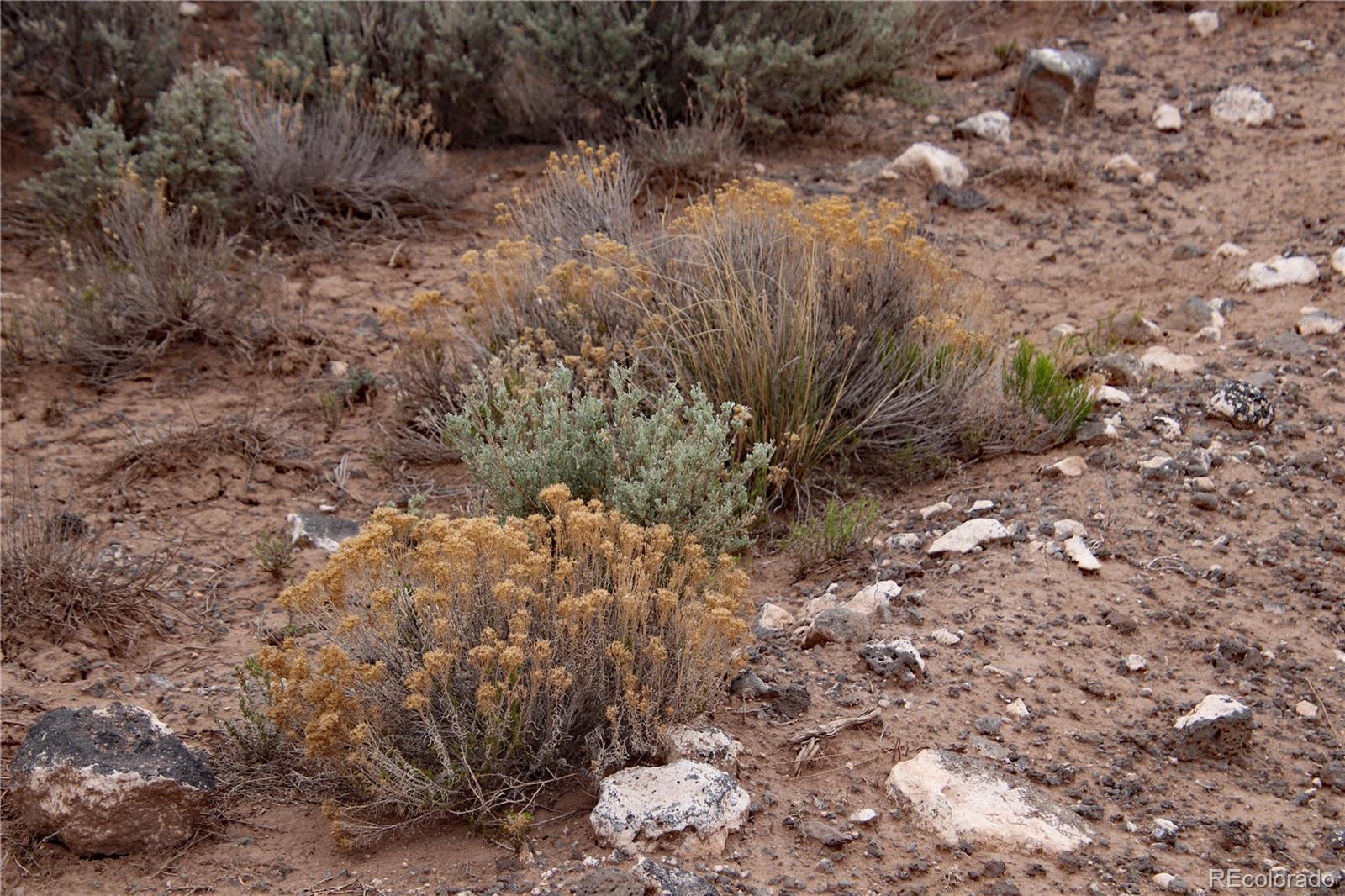 7602 Skyline Drive San Luis CO 81152