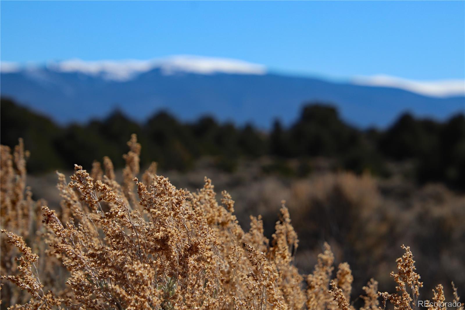 7602 Skyline Drive San Luis CO 81152