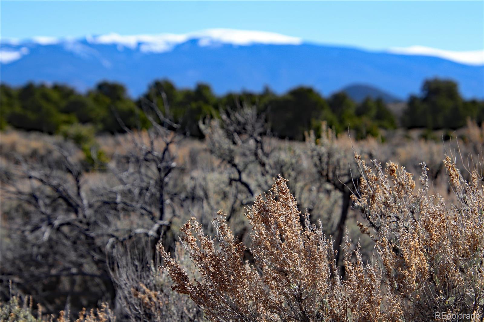 7602 Skyline Drive San Luis CO 81152