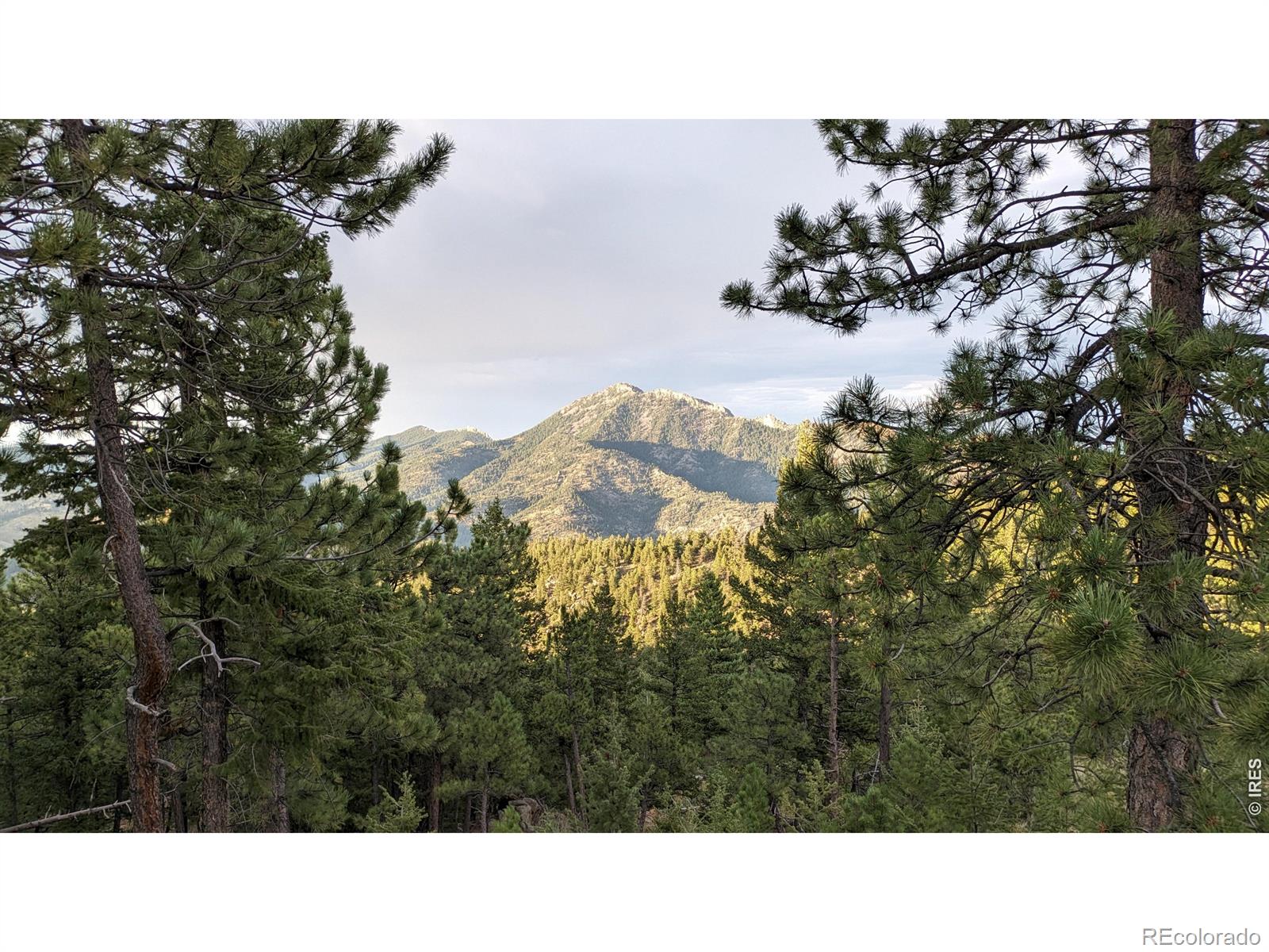 1312 Chute Road Golden CO 80403