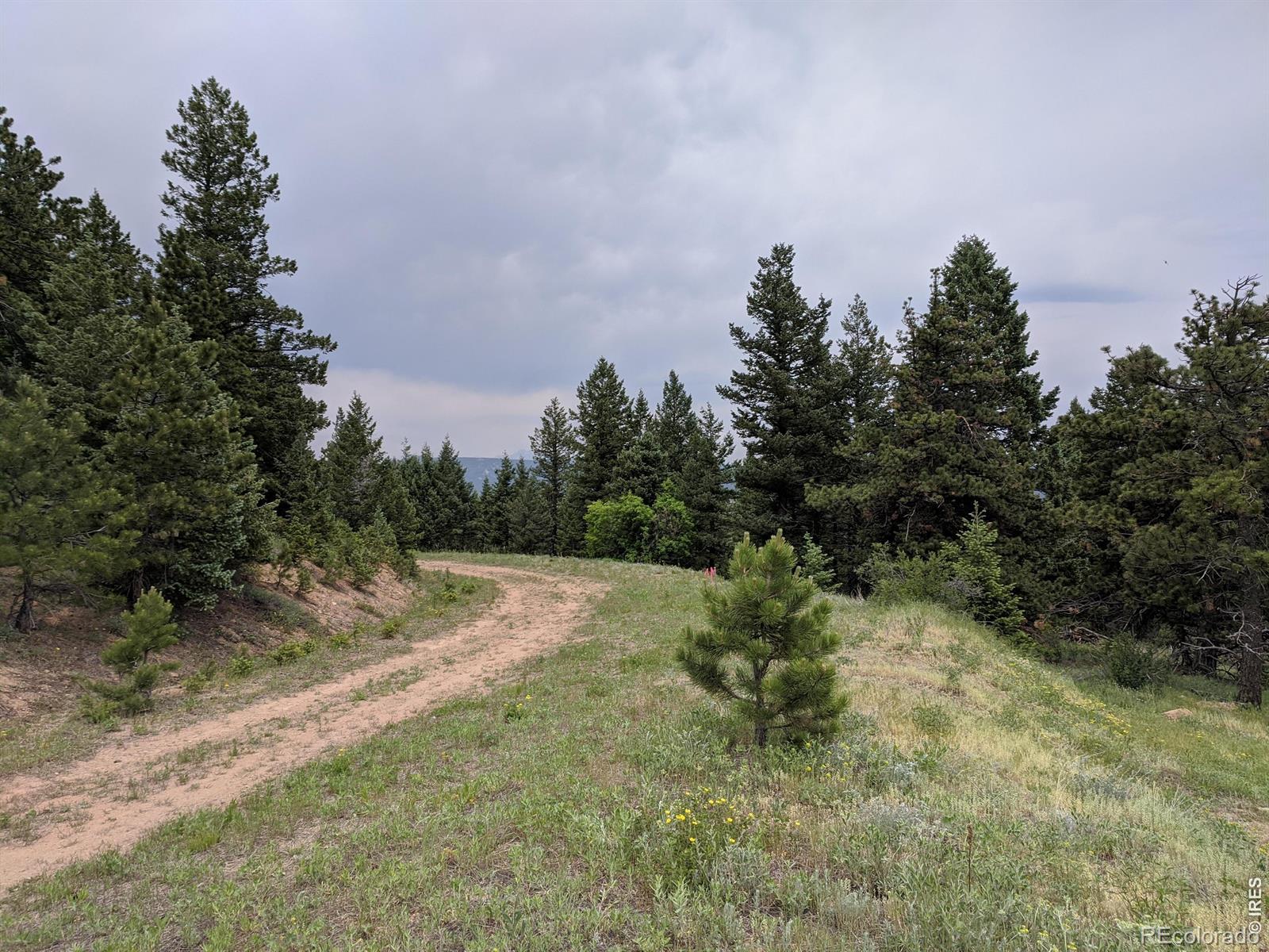 1312 Chute Road Golden CO 80403