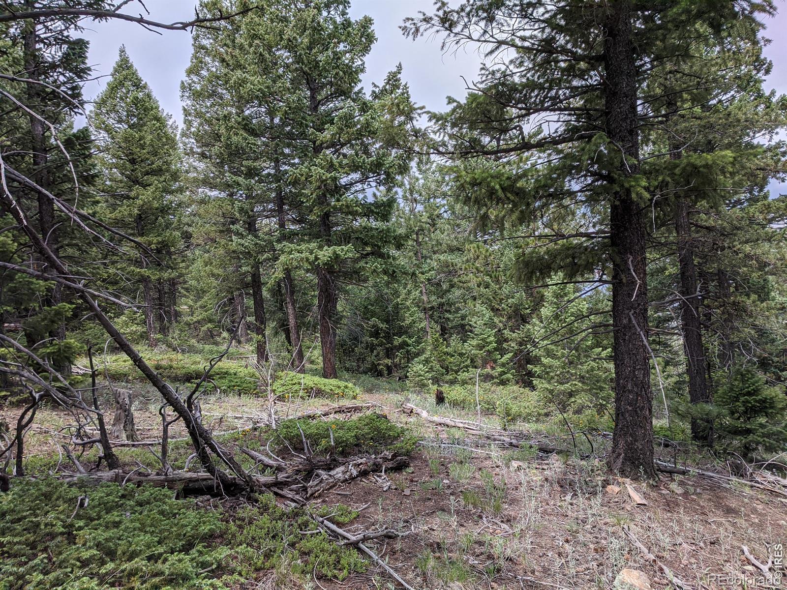 1312 Chute Road Golden CO 80403