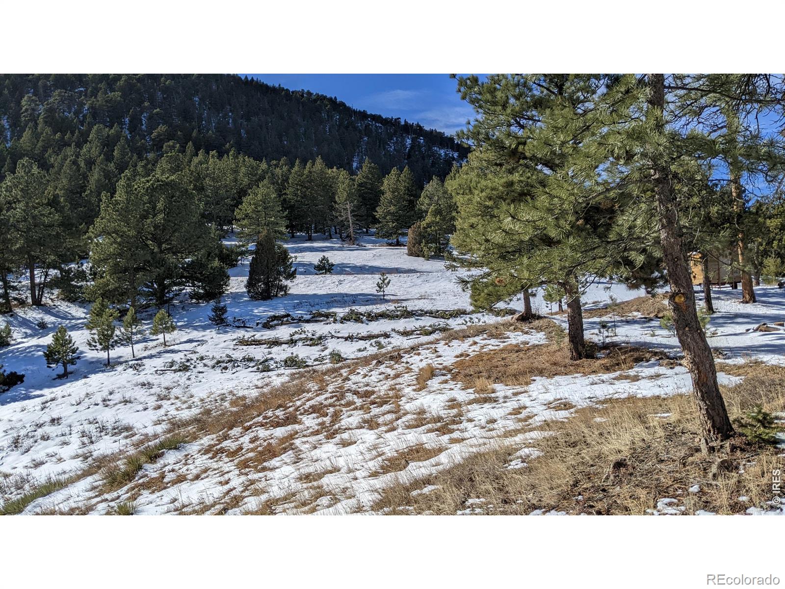 1312 Chute Road Golden CO 80403